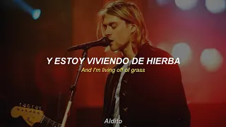 Nirvana - Something In The Way (Album Version) Sub. Español