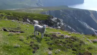 Dúlamán - Irish song
