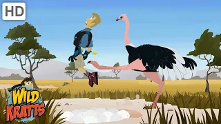 Ostriches Are Very Powerful Birds! | Martin Gets Kicked by an Ostrich | Wild Kratts