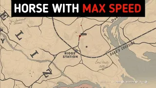 Most Players Never Know They Can Get The Horse With Maximum Speed Here - RDR2