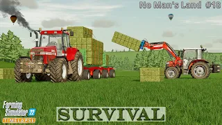 Survival in No Man's Land #18🔸Bundling Hay Bales & Selling Them. Buying Cows. Making a Field🔸FS22🔸4K