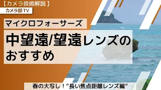 【カメラ技術解説】マイクロフォーサーズ「中望遠/望遠レンズのおすすめ」～春の大写し！”長い焦点距離レンズ編”～