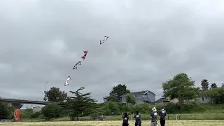 Redwood Coast Kite Festival