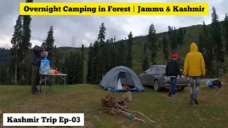 Overnight camping in forest | Jammu and Kashmir | Camping in india | Patnitop | Kashmir trip Ep 03
