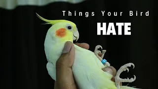 Things Your Bird Hate | Avoid These Mistakes | Ayush Singh