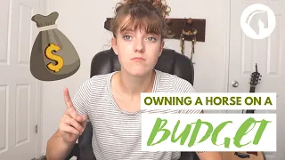 How to Own a Horse on a Budget (HORSE BUDGET HACKS)
