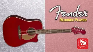 FENDER Redondo Player