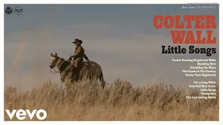 Colter Wall - For a Long While (Audio)