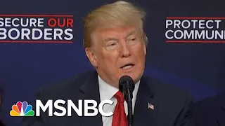 Fact Check: Crime Rates Have Declined While Immigration Population Has Increased | MTP Daily | MSNBC