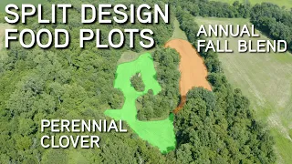 The ULTIMATE Food Plot Design!! | Annual Fall Blend, Perennial Clovers & Architecture