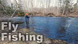 Fly Fishing- Day 15 of 30 Day Survival Challenge Maine Lockdown