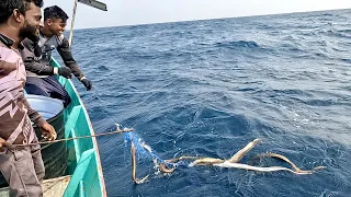 Back to Back Eel Fish Caught in the Deep Sea