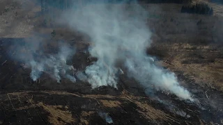 Пожар в поле за ЖК «Жемчужина Зеленограда»
