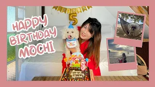 Mochi's 5th Birthday at Stilts Calatagan Beach Resort | Pet-Friendly Resort in Batangas