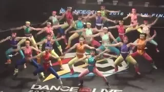 2016.4.24 大阪府立登美丘高等学校 / TDC DANCE @LIVE JAPAN FINAL 2016