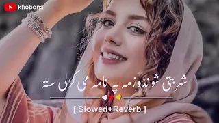 Sharbati Shonday Zama  Slowed+Reverb  Pashto New Song   khobona