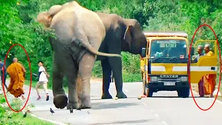 In this Poya day Wild elephant attack to Buddhist monk