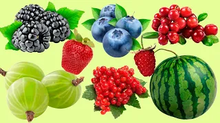 Learn names Berries in English | Учим названия фруктов на английском