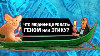 Что модифицировать: геном или этику?