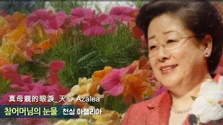 참어머님의 눈물真母親的眼淚/天心 Azalea（韓/中字幕）