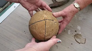 Breaking open Grandma's sandstone rock from 45 years ago *FOSSIL INSIDE*