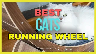 🔥 Best Cat Running Wheel in 2024 ☑️ TOP 5 ☑️