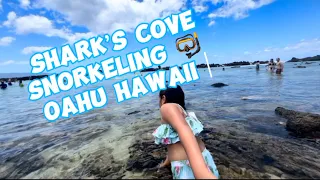 Shark’s Cove : Best spot for snorkeling in Oahu Hawaii | Explore with AllieVenture