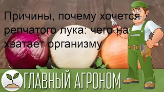 Причины, почему хочется репчатого лука: чего на хватает организму