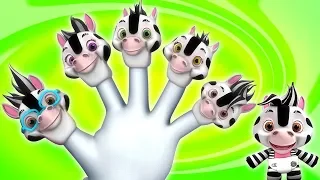 Zebra Finger familie | digte til børn | Finger Family Songs | Kids Tv Dansk | Kids Rhymes