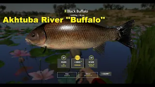 Russian fishing4 ''fishmeps'' "How to Catch Akhtuba River - Buffalo Fish