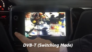 A Video interface for PEUGEOT PAS TD (PEUGEOT)