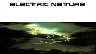 Electric Nature - The Electric Nature [DJ Looney Tunes Remix]