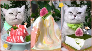 MÈO NẤU ĂN | CAT CAN COOK  | DELICIOUS FOOD ON CHINESE TIKTOK | DOUYIN #1