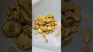 Diver Finds $500 Of Gold Nuggets In Bedrock Crack!