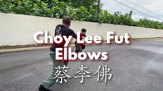 Tigers of Choy Lee Fut - Elbow Combinations