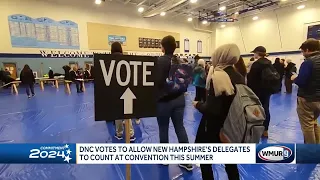 DNC committee votes to count New Hampshire's delegates at national convention