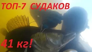 ТОП 7 больших СУДАКОВ!41кг судака!подводная охота 2020.