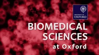 Biomedical Sciences at Oxford University