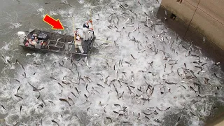 Never Seen 😲 How American Fishermen And Farmers Catch and Process Seafood