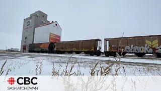 CBC Sask. News: Premiers want federal health-care funding, real Christmas trees are in short supply