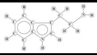 The Chemistry of the Tryptamine Hallucinogens #chemistry #dmt #lsd #psilocybin