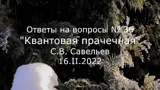 С.В. Савельев - Квантовая прачечная