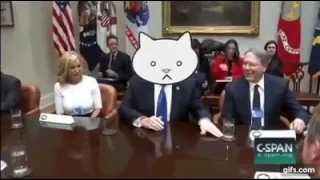 Трамп - это кот, который любит отодвигать вещи