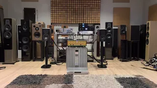 Dynaudio Emit 10