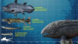 The 10 Largest  Prehistoric Fishes