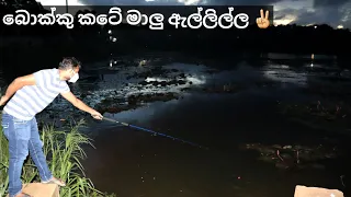 Amazing Two boys Catching Fish | Best Hook Fishing | Sri Lanka Fishing | Fishing | මාලු අල්ලමු