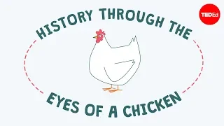 History through the eyes of a chicken - Chris A. Kniesly