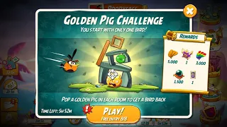 Angry birds 2 Golden pig challenge Bubbles bird.