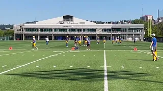 Training camp scenes: Pitt's tight ends in action