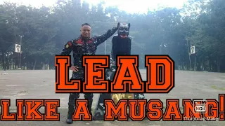 LEAD LIKE A MUSANG (LEADERSHIP PRINCIPLES EXPLAINED)